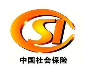 保險(xiǎn)監(jiān)管是什么意思？ 第1張