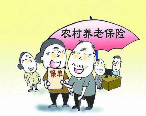 怎么查農村養(yǎng)老保險繳費？ 第1張
