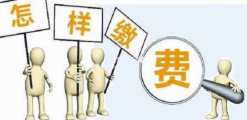 什么公司可以代繳養老保險？ 第1張