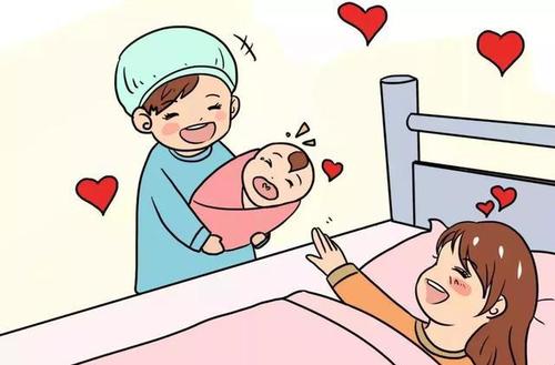 生育保險如何繳？怎么報？ 第1張